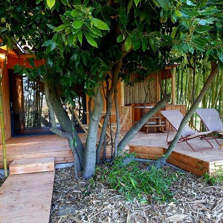 Maisonette Et Spa Bois La Bégude-de-Mazenc Kültér fotó