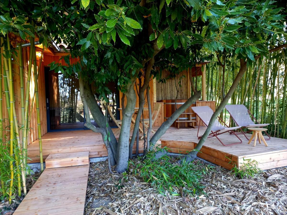 Maisonette Et Spa Bois La Bégude-de-Mazenc Kültér fotó